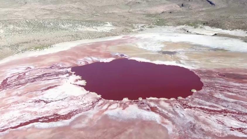 Ruta 5 | Temporada 1 | Capítulo 4 | Parinacota, Gigante de Tarapacá y Laguna Roja