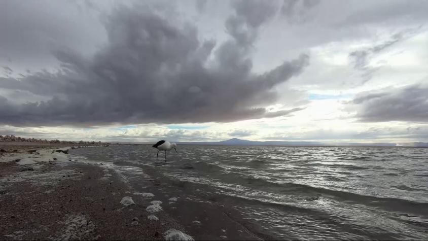 Ruta 5 | Temporada 1 | Capítulo 8 | Resumen de San Pedro