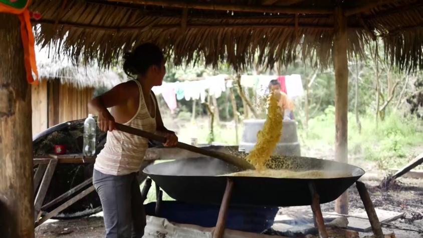 Cultura Indómita | Capítulo 10 | Los habitantes del Amazonas