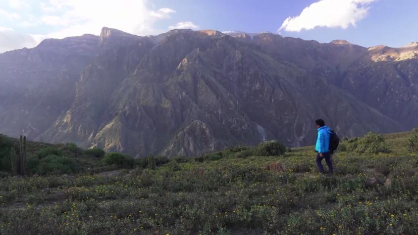Cultura Indómita | Capítulo 11 | Valle del Colca y Pampachiri