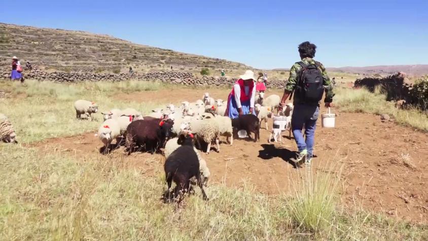 Cultura Indómita | Capítulo 13 | Lago Titicaca, Isla de Amantaní