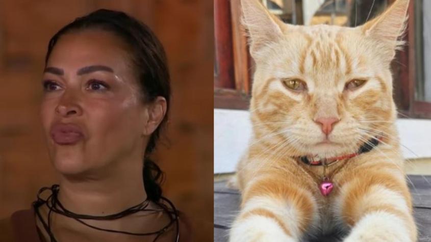 "¿Qué se cree?": Defienden a Marlen Olivari en redes tras duro ataque que recibió de Daúd Gazale