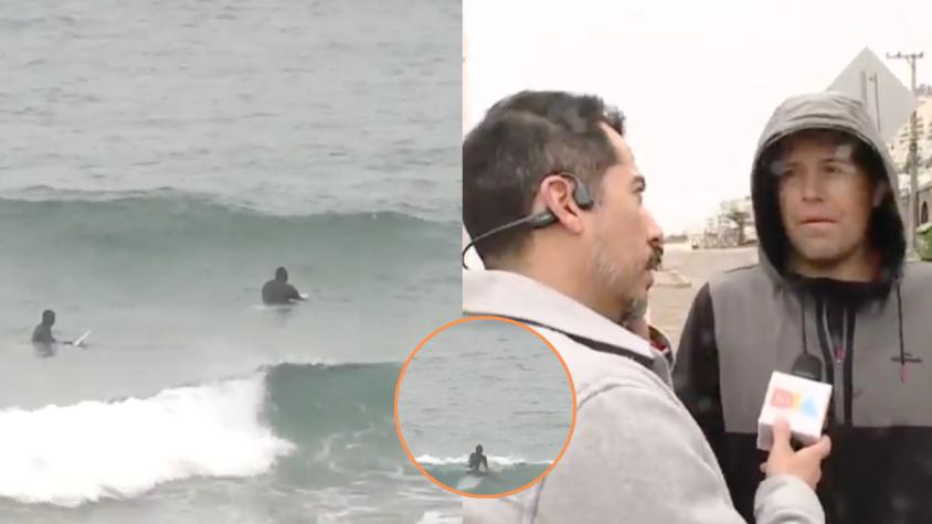 Insólito: surfean en playa en Reñaca pese a alerta de tsunami en Chile