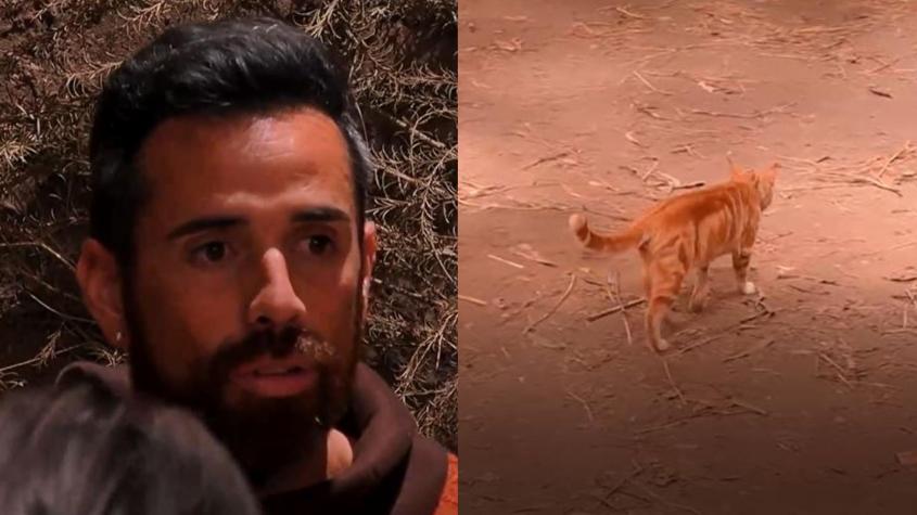 "¡Qué se cree!": Daúd Gazale fue duramente criticado por insultar al gato de Mundos Opuestos