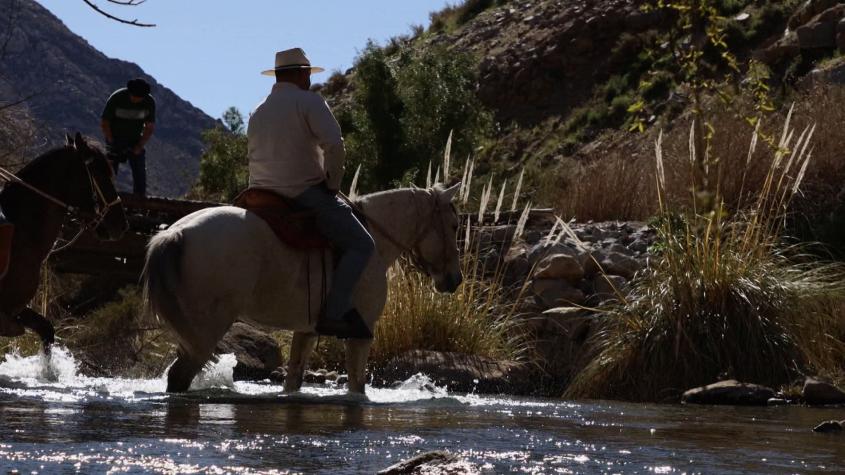 Recomiendo Chile | T16 | Capítulo 11 | Valle del Elqui