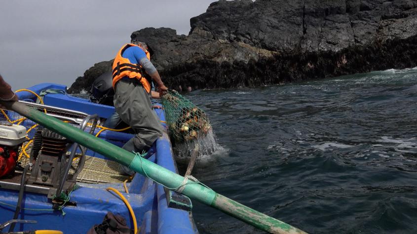 Recomiendo Chile | T14 | Capítulo 4 | Los Vilos