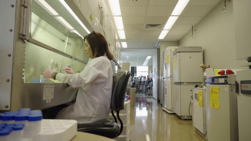 Sueño Americano | Capítulo 11 | Rigurosidad y trabajo