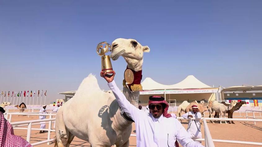 El Peregrino | T2 | Capítulo 5 | Catar y Arabia Saudita