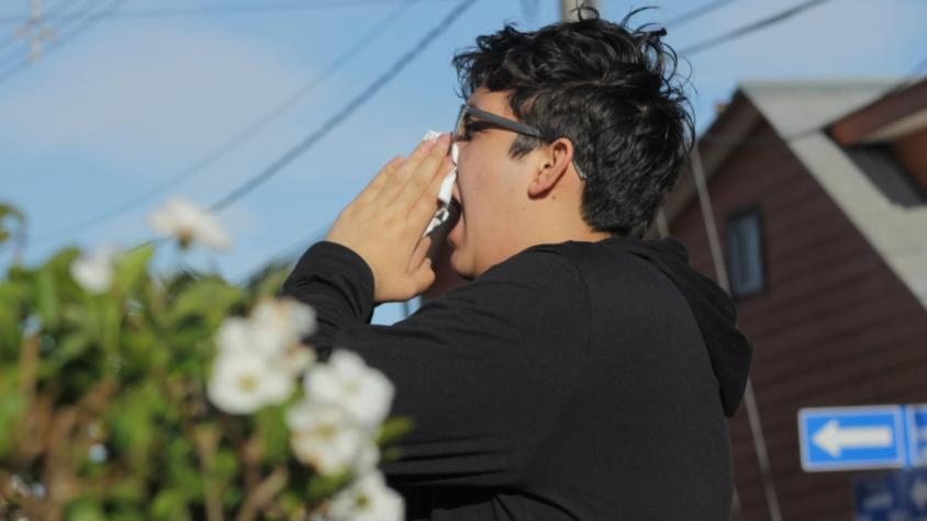 ¿Rinitis o resfrío? Descubre cómo diferenciar la verdadera responsable de tus alergias en primavera