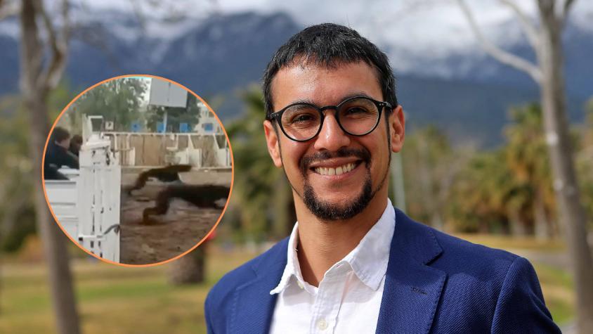 La ordinaria amenaza de muerte que recibió el alcalde de Peñalolén tras cerrar canódromo: "Malaya c..."