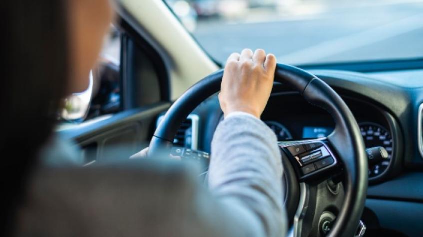 Consigue tu licencia profesional gratis con Sence: Así puedes inscribirte a los cursos