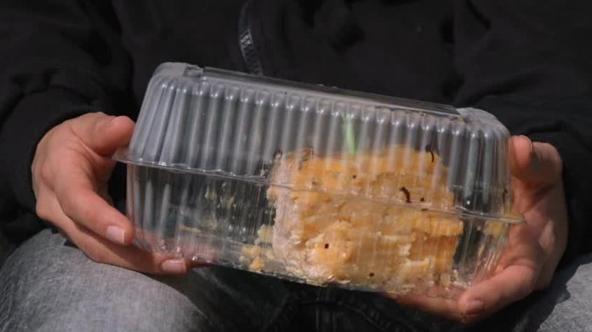 Preciosas | Capítulo 23 | El cumpleaños de Gabriela