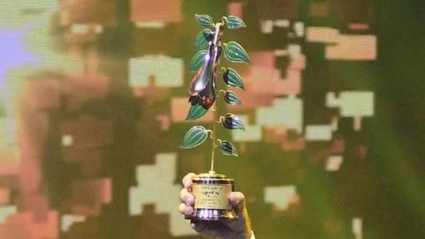 ¡Elige a los nominados del 13! Así puedes votar por tu favorito en los Copihue de Oro 2025