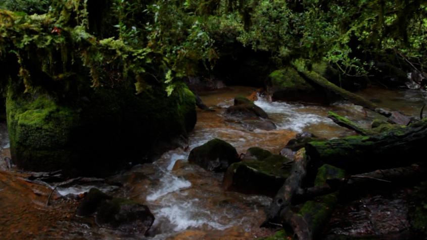 Recomiendo Chile | T9 | Capítulo 5 | Litoral patagónico