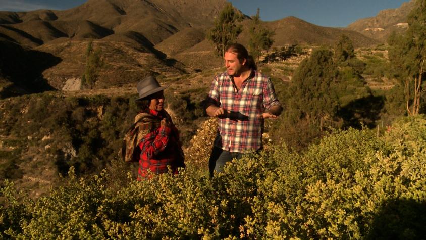 Recomiendo Chile | T9 | Capítulo 1 | En busca del Oro Verde del Altiplano