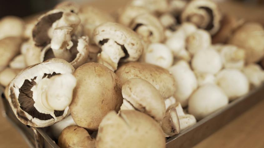 El Ingrediente | T2 | Capítulo 5 | Hongos