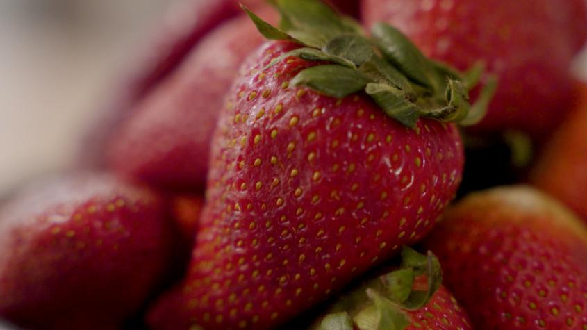 El Ingrediente | T3 | Capítulo 11 | Frutilla