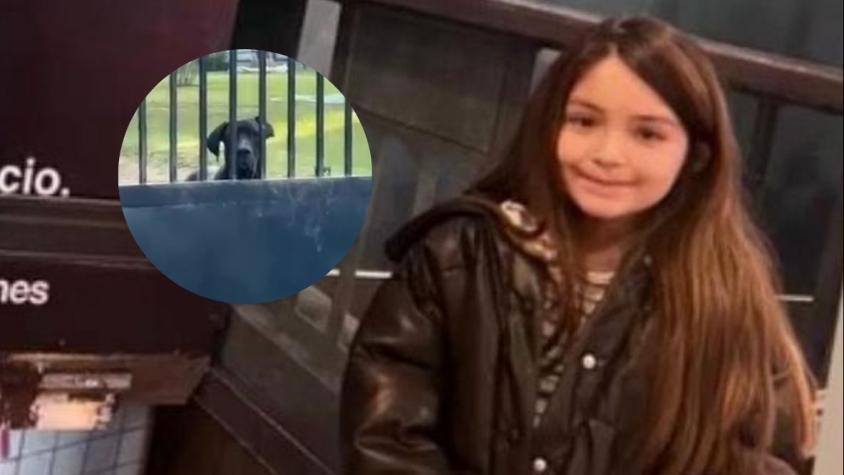 "Está luchando por su vida": Madre denuncia ataque de perros con más de 130 mordidas a su hija de 10 años