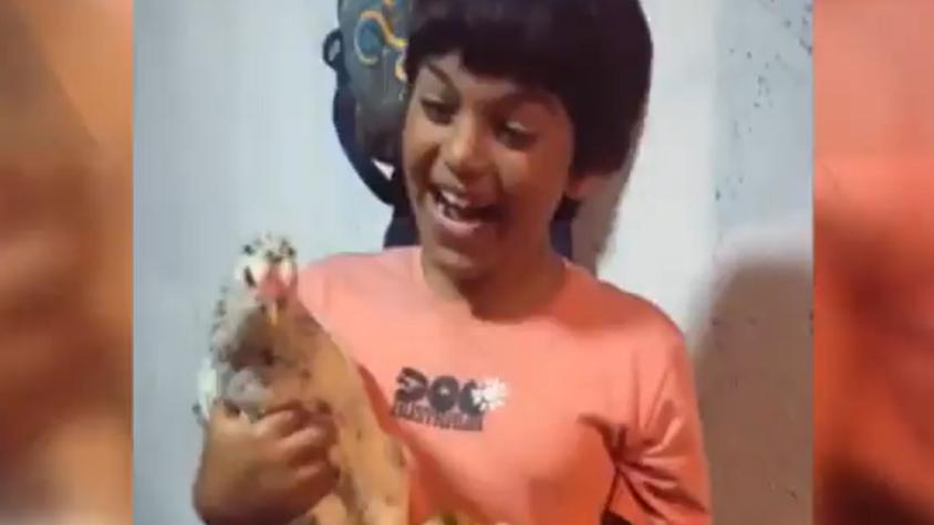 Niño de 7 años se emocionó al recibir una gallina de regalo en Navidad: durmió con ella 