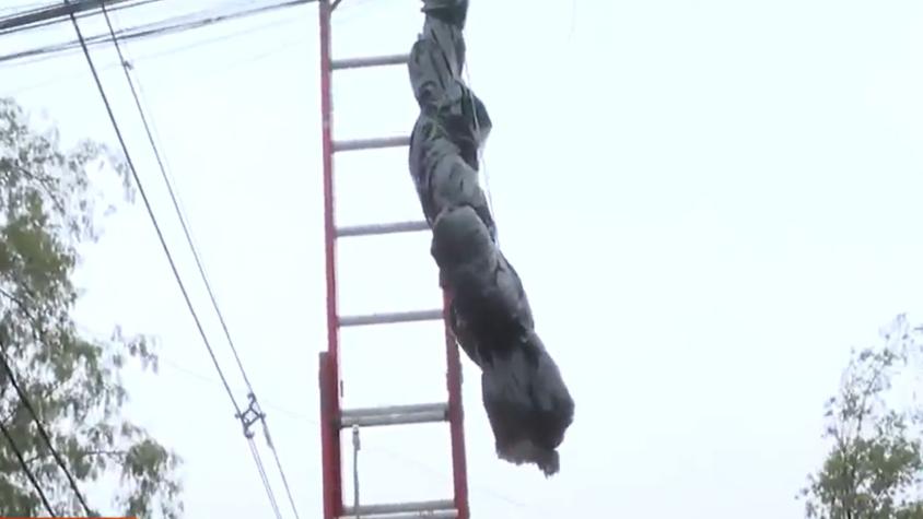 Muñeco colgado en Lo Espejo indignó al equipo de Tu Día: "Imagínate a niños pasando por ahí"