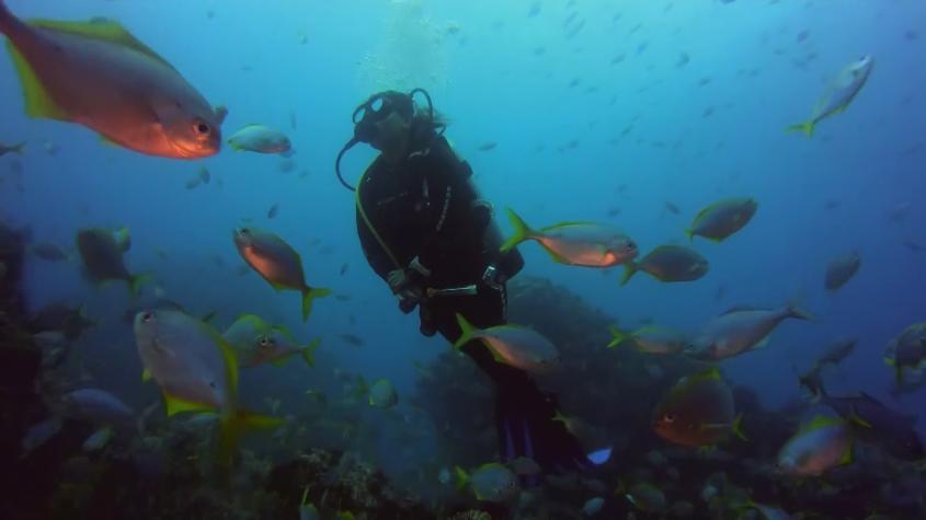 Recomiendo Chile | T17 | Capítulo 11 | Archipiélago de Juan Fernández