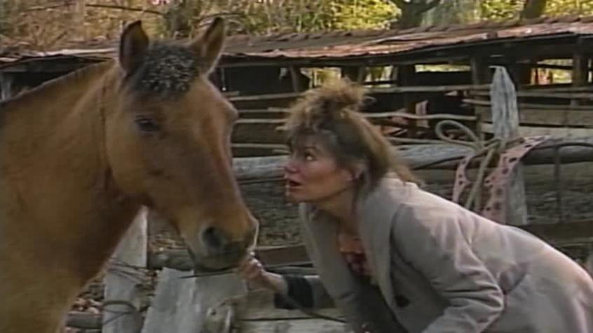 De Chincol a Jote | Temporada 1989 | Capítulo 6