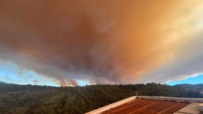 Viento puelche: el factor que dificulta el combate de los incendios en Ñuble y Biobío