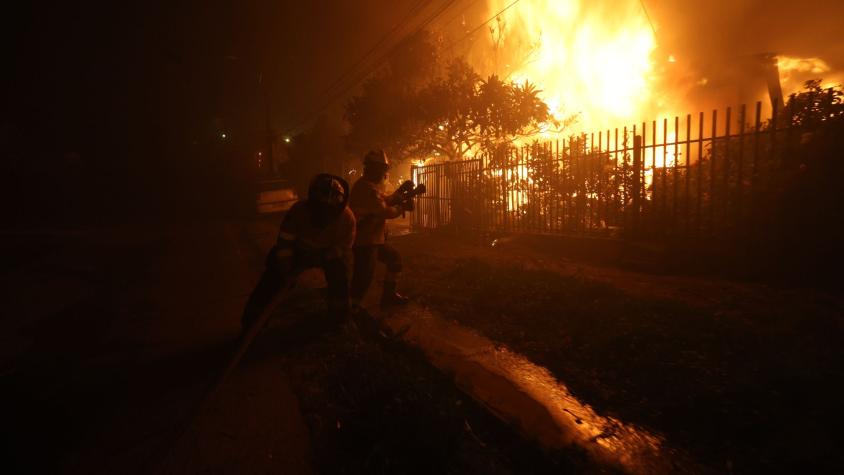 El importante hallazgo en zonas afectadas por incendios forestales en Concepción: podría ser clave en investigación sobre el origen del fuego