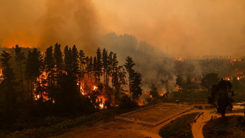 Manipuló cocina a leña en mal estado: quién es el primer detenido por iniciar incendios forestales