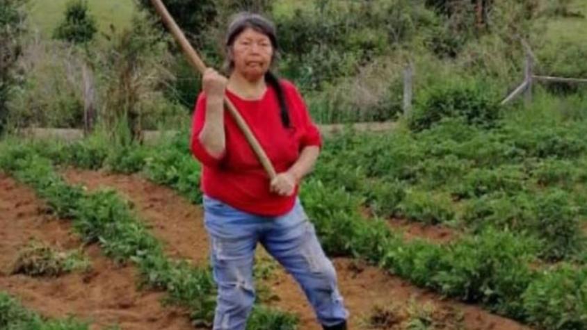 La sorprendente nueva declaración del exyerno de Julia Chuñil que podría cambiar radicalmente el caso