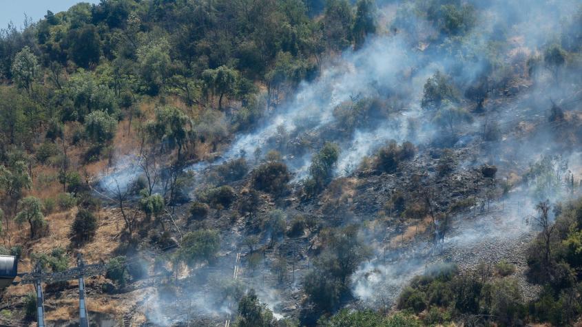 Incendio a metros de nueva estación del teleférico Pío Nono en el Cerro San Cristóbal