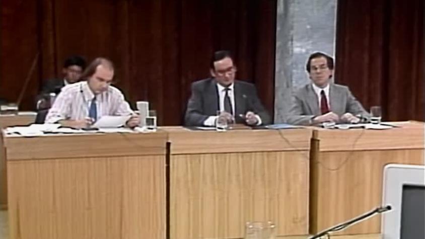 De Chincol a Jote | Temporada 1990 | Capítulo 7