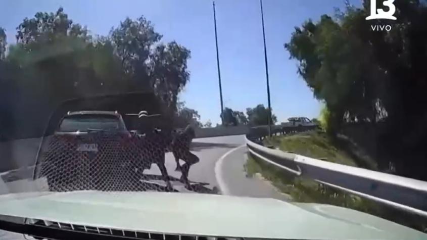 Conductor que atropelló a delincuente en autopista de Quilicura lanzó acusación contra la concesionaria: "Me invitaban a denunciar"