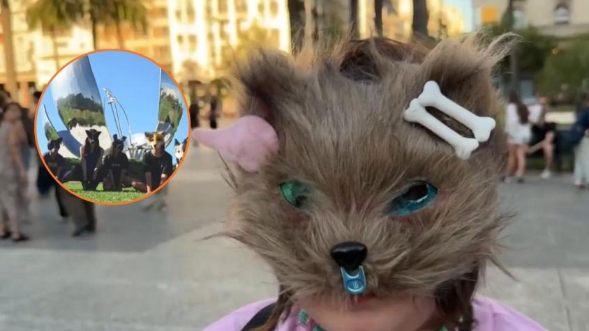 "Ya llegó a Chile": El fenómeno de los Therians y la polémica por personas que se identifican como animales