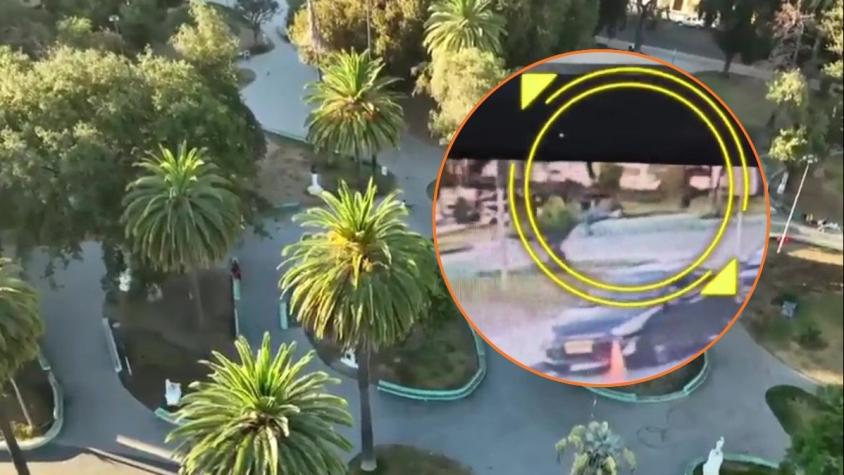 Tragedia en Valparaíso: Joven de 27 años muere por caída de árbol en Parque Italia