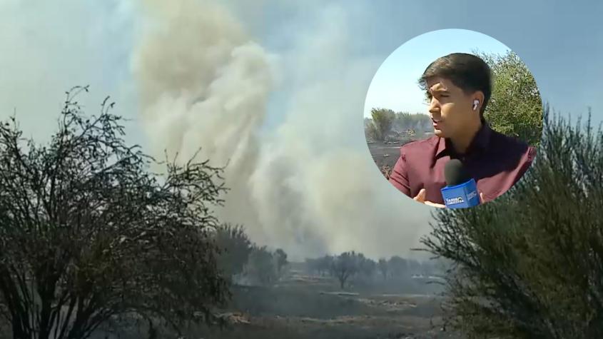 Solicitan evacuación inmediata en Lampa por incendio forestal en sector La Resiliencia