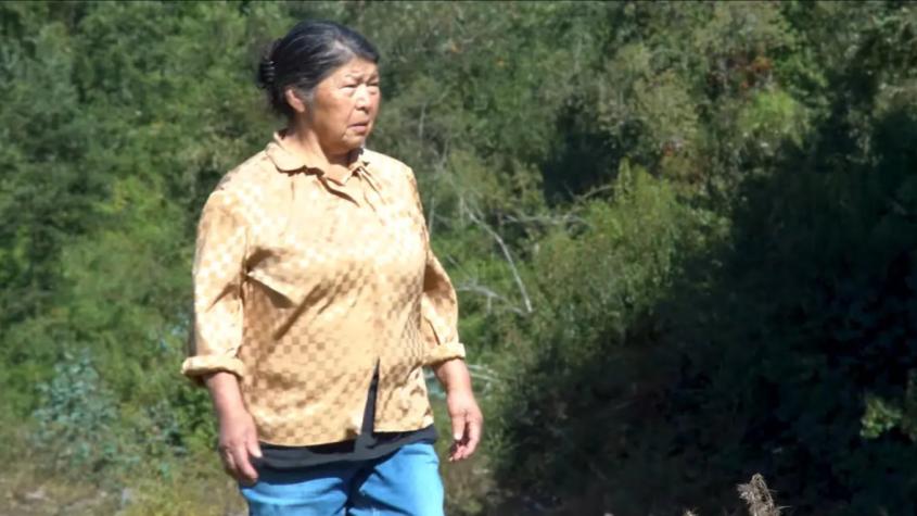 Nuevo giro en caso Julia Chuñil: amplían búsqueda a fundo de empresario ligado a la investigación