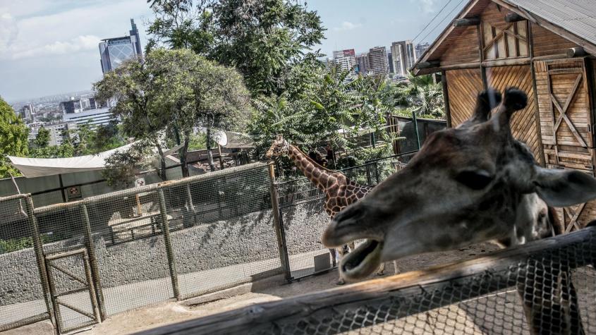 La tarde es nuestra / Capítulo del viernes 30 de enero