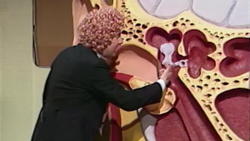 El Mundo del Profesor Rossa | Temporada 1985 | Capítulo 3