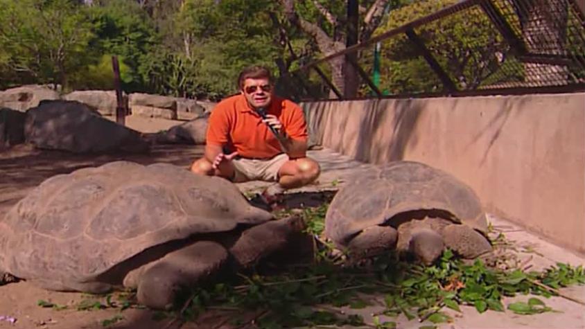 Cachureos | Temporada 2001 | Capítulo 4