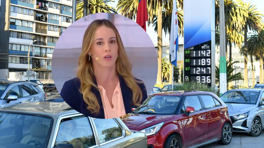 Mara Sedini explica las medidas del Gobierno para combatir el alza de los combustibles