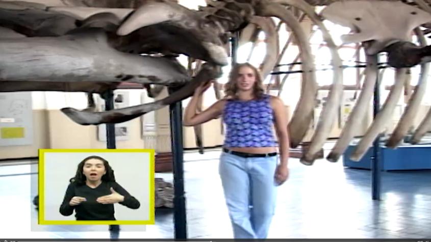 Cachureos | Temporada 2002 | Capítulo 14