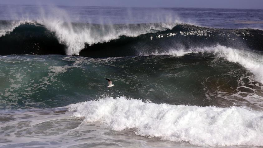 Marejadas afectarán a gran parte de la costa chilena el jueves y viernes: revisa dónde y los horarios críticos
