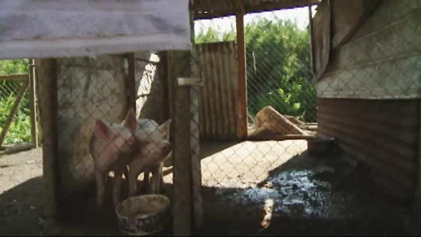 Vecinos en Conflicto | Capítulo 8