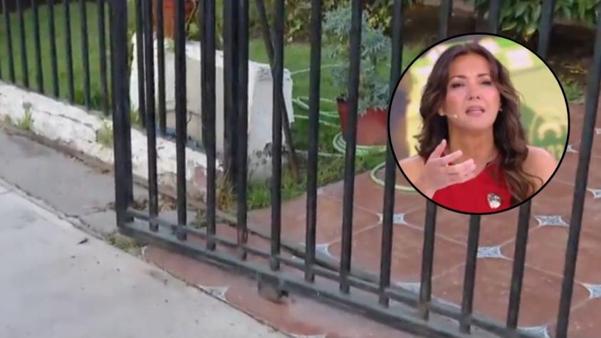 "No lo voy a decir por respeto": La indignación de Priscilla Vargas tras violento asalto a adulta mayor en Maipú