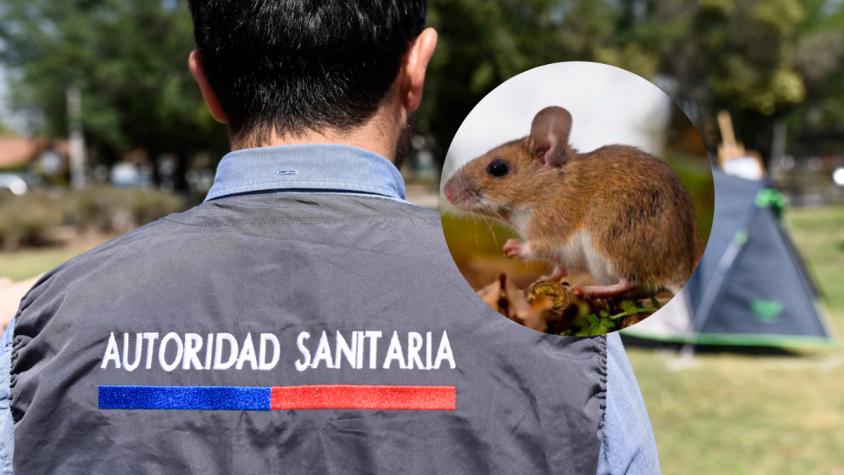 Qué es el hantavirus y cuáles son los síntomas que requieren atención inmediata