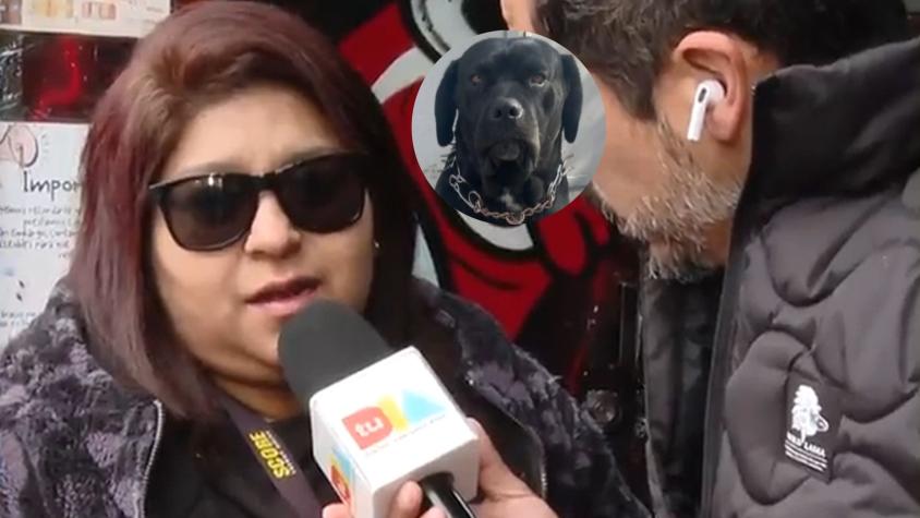 Perro murió por salvarle la vida a su dueña en Cerro Navia: "Saltó sobre el delincuente y recibió el disparo" Perro murió por salvarle la vida a su dueña en Cerro Navia: "Saltó sobre el delincuente y recibió el disparo"