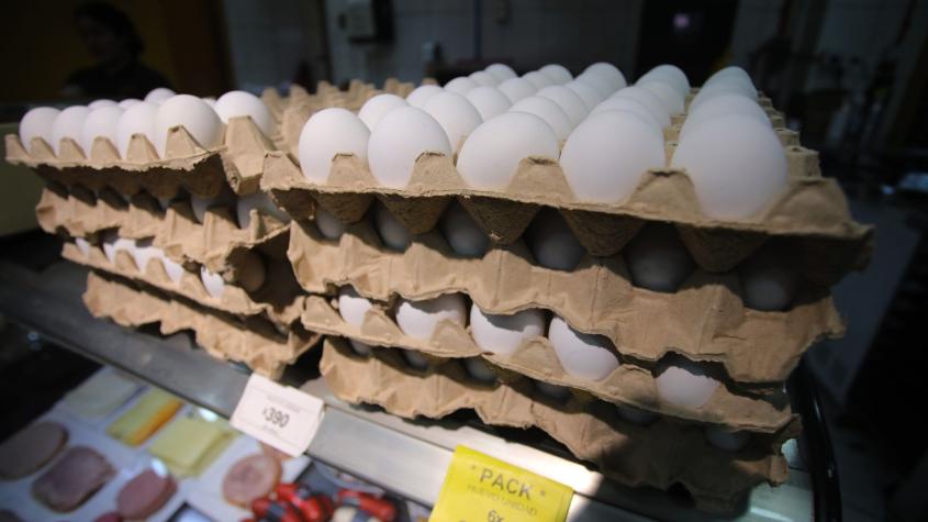Sernac fiscaliza venta de huevos: concepto "gallinas felices" no es legal