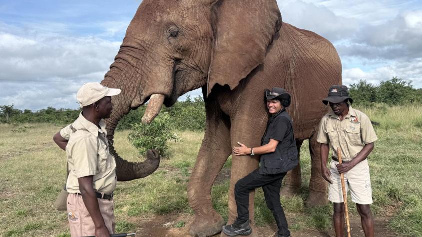 Este sábado en África Salvaje: la emocionante búsqueda de los Big Five en el corazón de Kenia