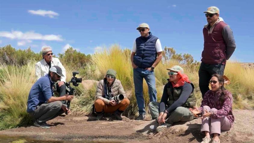 En el capítulo de “El Clan” de hoy: caminarán 37 kilómetros en dos días y Pangal celebrará sus 41 años En el capítulo de “El Clan” de hoy: caminarán 37 kilómetros en dos días y Pangal celebrará sus 41 años